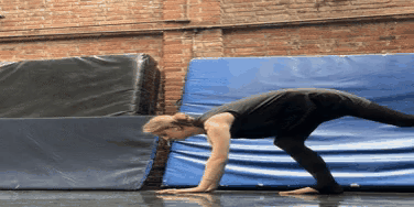 Contortion 2
